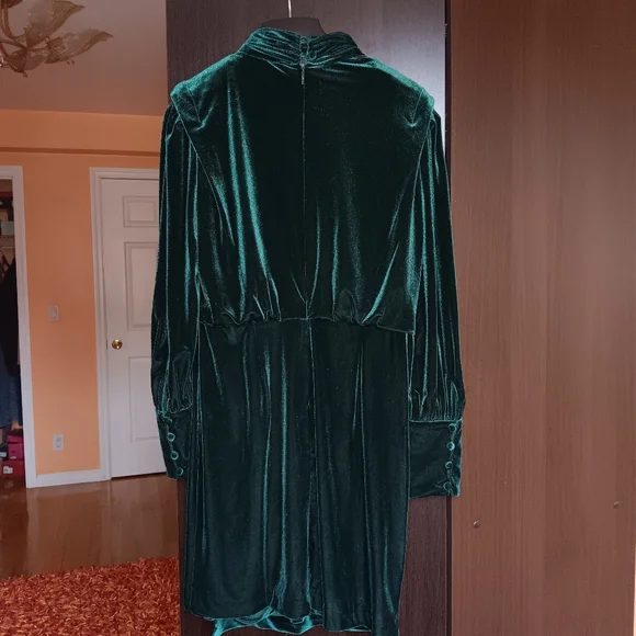 Karl Lagerfeld Velvet Blouson A-Line Dress In Forest Green - Picture 4 of 10